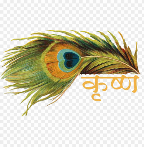 Peacock Krishna R Inseparable In Indian Traditions - Krishna Name In Hindi PNG Isolated