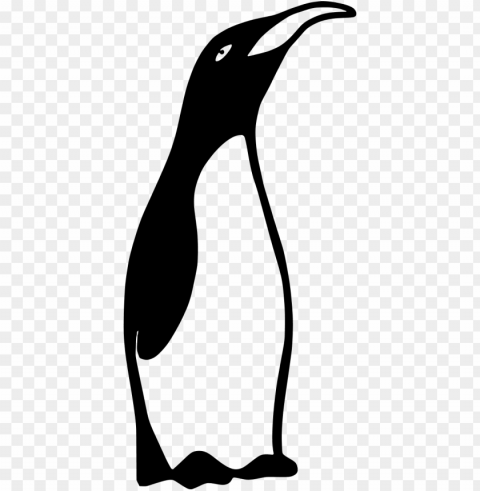 Penguinblack And White Clear Background PNG Isolation