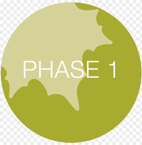 phase 1 icon-01 - phase 1 icon Isolated Character in Transparent PNG Format