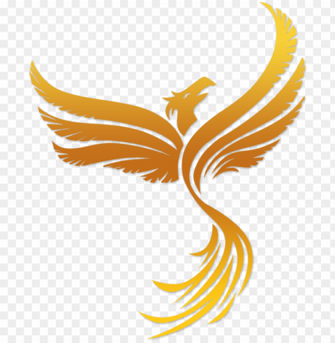phoenix bird vector PNG Graphic with Clear Isolation