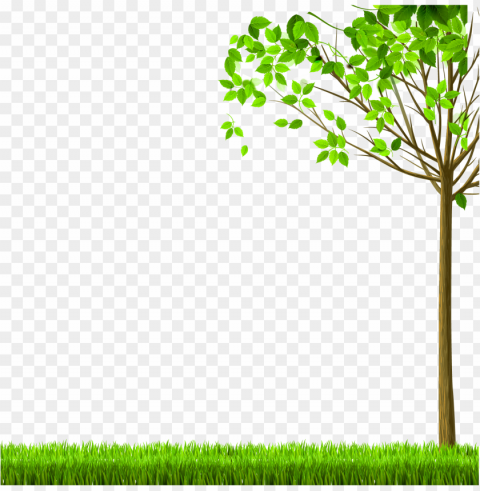 Photo Isolated Item On Transparent PNG