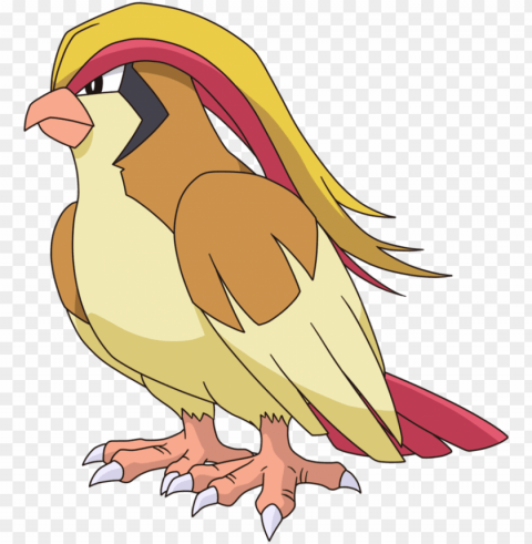 pidgeot Isolated Object on HighQuality Transparent PNG PNG transparent with Clear Background ID 6dc85358