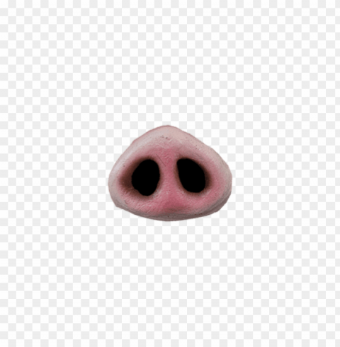 pig nose PNG transparent photos for design