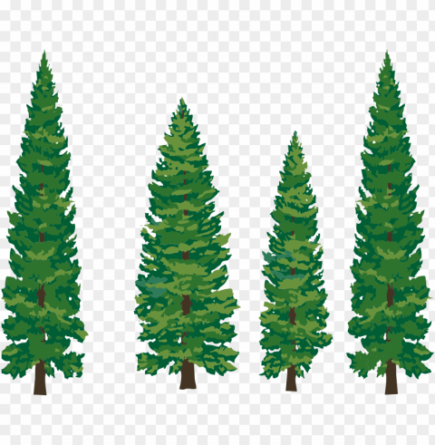 pine trees Transparent PNG images set