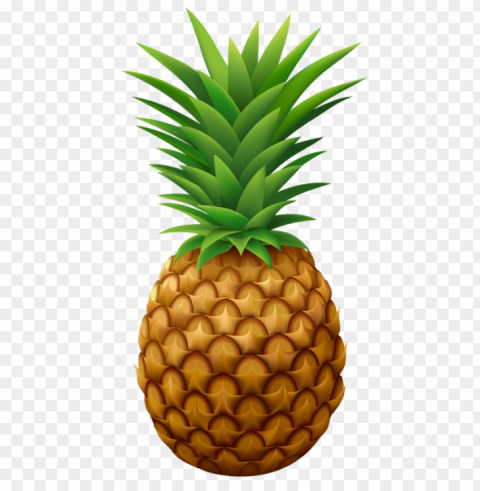 pineapple 1 Free PNG download no background