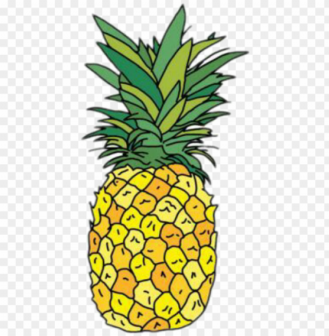 Pineapple Sticker PNG Images With No Limitations