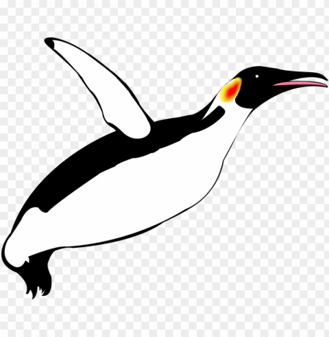 pinguim voando PNG images with transparent space