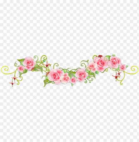 - - pink rose dividers cliparts Isolated PNG Graphic with Transparency