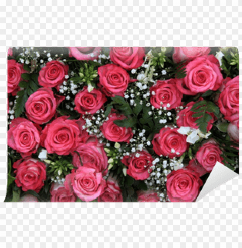 pink roses and gypsophila wall mural pixers we Transparent PNG image free