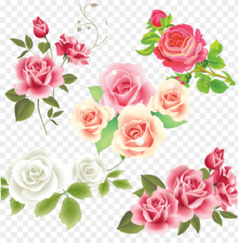 pink white rose flower vector pink rose flower vector - mothers day 2018 greetings Transparent PNG Isolated Object Design