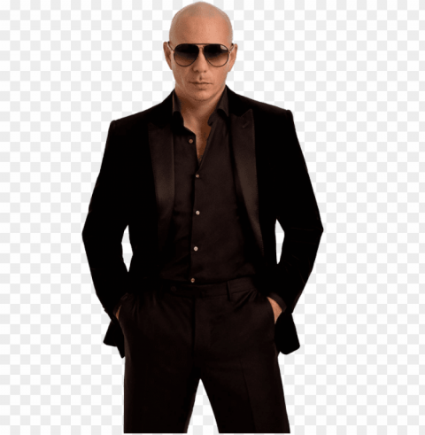 pitbull Isolated Item on HighResolution Transparent PNG