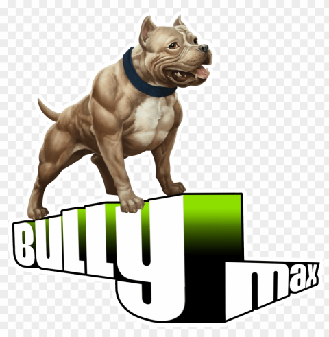 pitbull Isolated Item with Clear Background PNG PNG transparent with Clear Background ID 7a8a7cf8