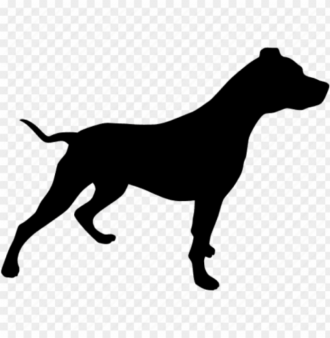 pitbull Isolated Item with Transparent PNG Background