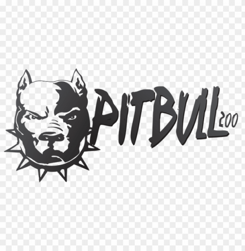 pitbull Isolated Object in HighQuality Transparent PNG