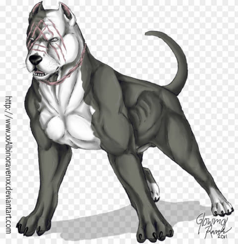 pitbull Isolated Object on HighQuality Transparent PNG