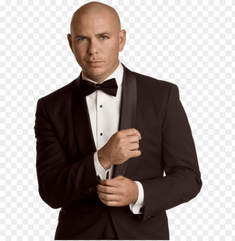 pitbull Isolated Object with Transparent Background in PNG