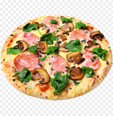 pizza food transparent PNG Image with Clear Isolated Object - Image ID f529328c