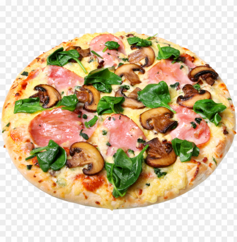 Pizza Food Transparent PNG Image With Clear Isolated Object