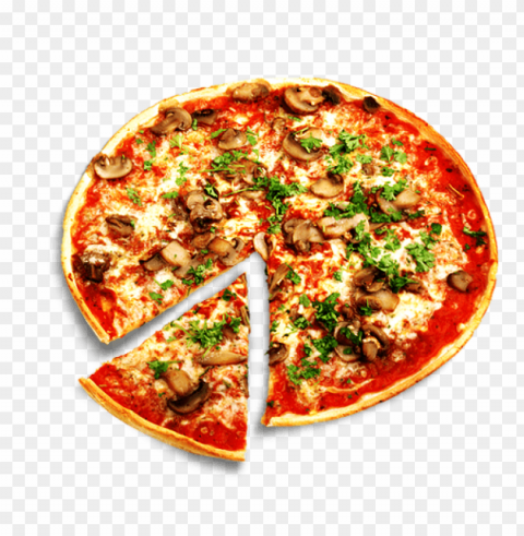pizza PNG images with no background essential