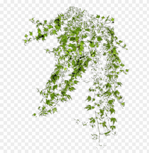 plantas photoshop PNG images with no limitations