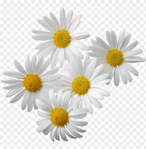  Flowers Transparent Background PNG Isolated Icon