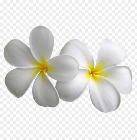  flowers Transparent design PNG PNG transparent with Clear Background ID a3feaa4f