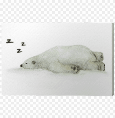 polar bear PNG transparent backgrounds PNG transparent with Clear Background ID 8cf68905