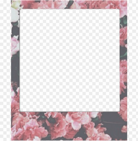 polaroid template transparent Clean Background Isolated PNG Illustration