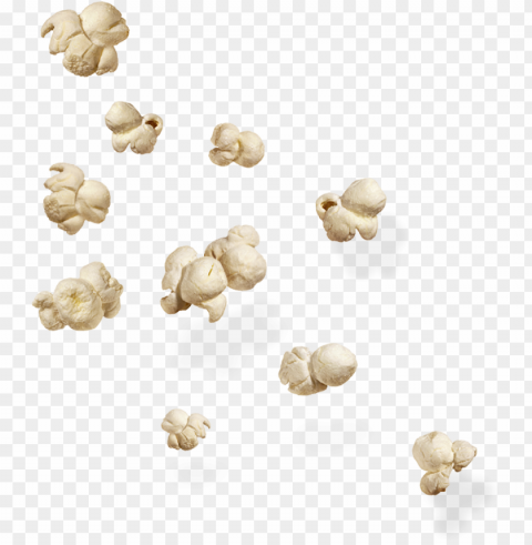 popcorn food PNG images with clear cutout