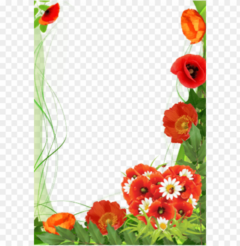 poppies color of love - mother's day frames PNG for design