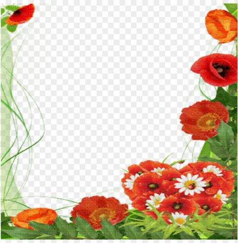 Poppy Flower Frame - Mothers Day Frames PNG Graphic Isolated With Transparency
