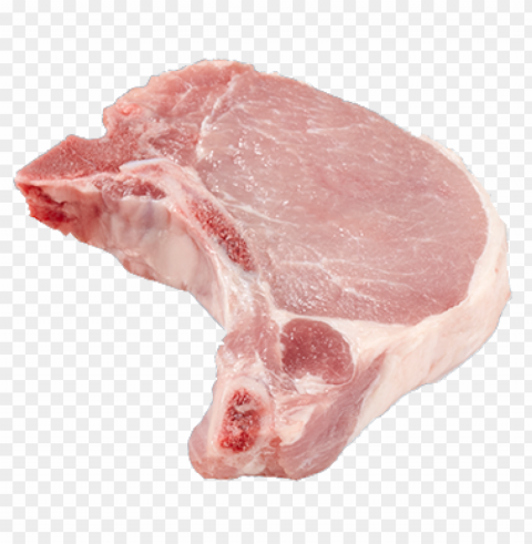 pork food wihout background PNG transparent photos comprehensive compilation