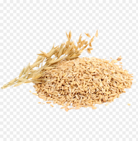 porridge oatmeal food no Transparent Background Isolated PNG Item