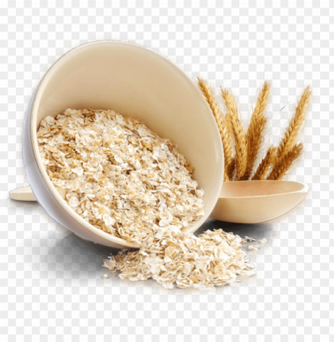 porridge oatmeal food file Transparent Background Isolated PNG Design Element
