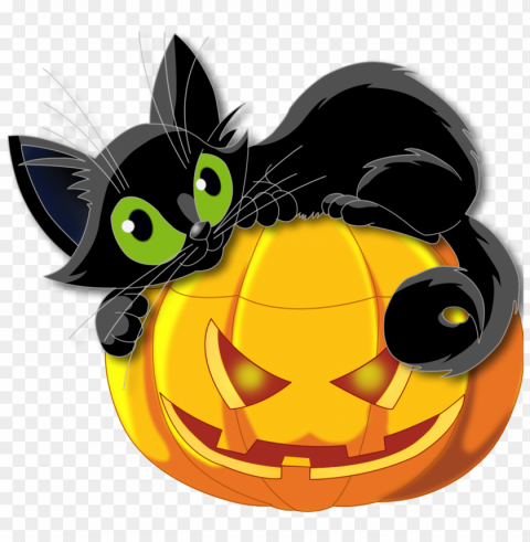 pumpkin and cat halloween Clear PNG image