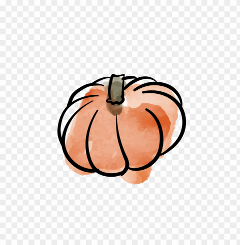 pumpkin fruit watercolor drawing clipart Clean Background Isolated PNG Object
