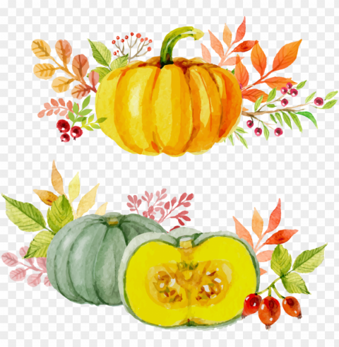 pumpkin watercolor with flowers art fall autumn Clear Background Isolated PNG Icon