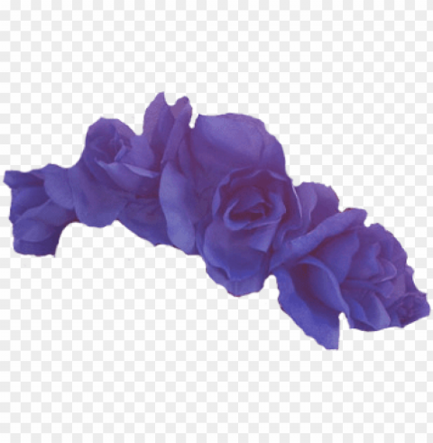 purple flower crown transparent PNG with no background diverse variety