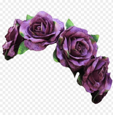 purple flower crown transparent PNG with no background free download