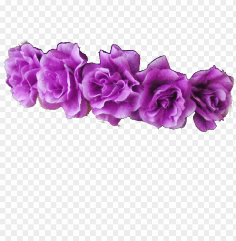 purple flower crown transparent PNG with no bg