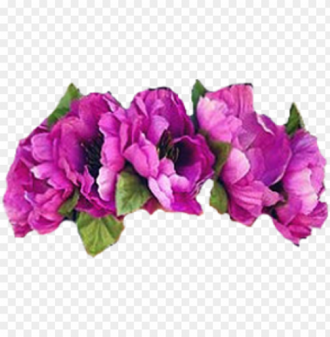 purple flower crown transparent PNG with no registration needed