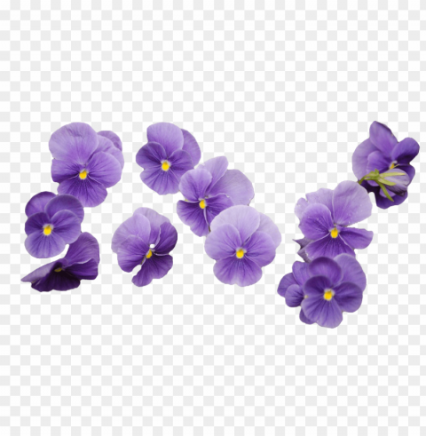 purple flower transparency PNG file with alpha