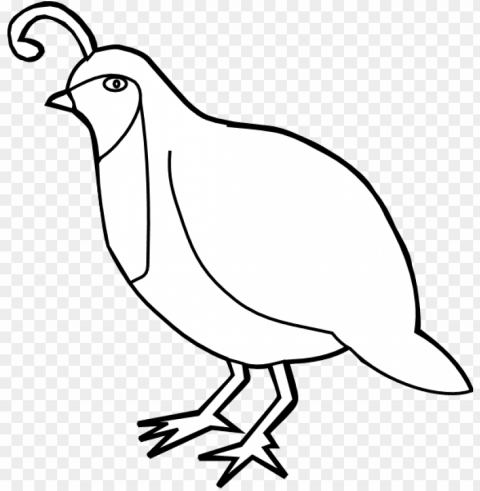 quail outline PNG images with no background assortment PNG transparent with Clear Background ID ad29ea80