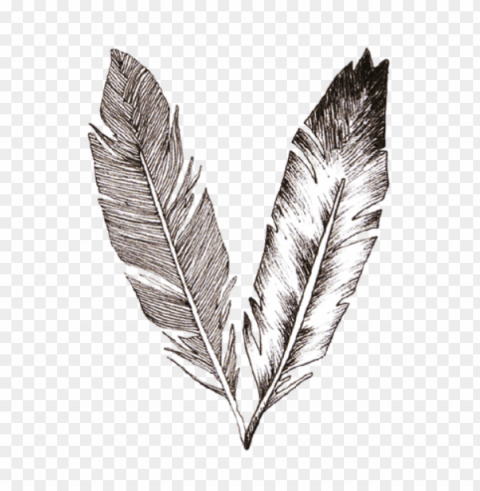 quills tattoo PNG images for graphic design PNG transparent with Clear Background ID 082d4162