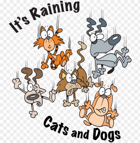 raining cats and dogs clipart - raining cats and dogs Isolated Character in Clear Transparent PNG