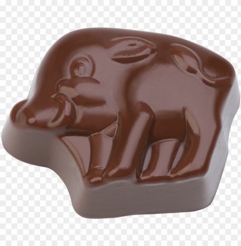 raline wild boar - chocolate boar PNG images with no limitations