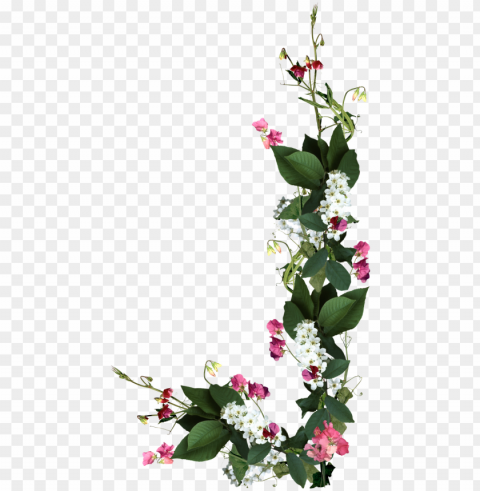ramos e flores PNG Image with Isolated Transparency