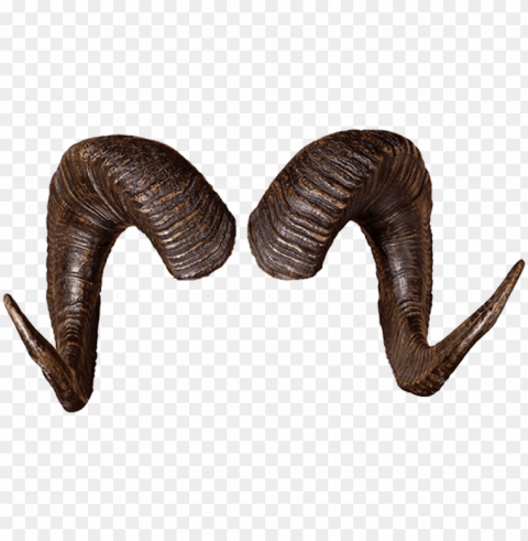 rams horns - ram horn HighQuality Transparent PNG Isolated Artwork
