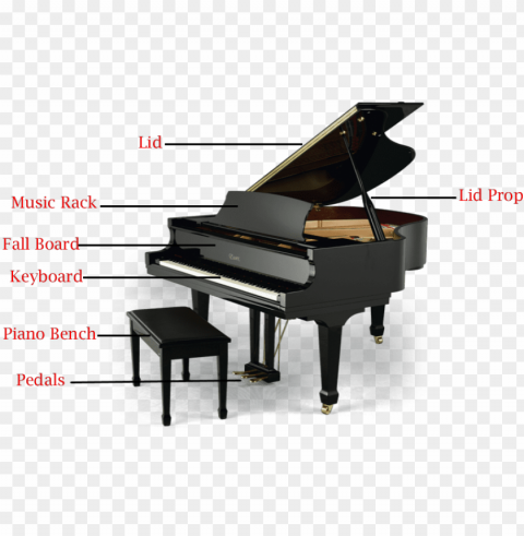 rand pianos have a few major piano parts - baby grand piano Clean Background Isolated PNG Object