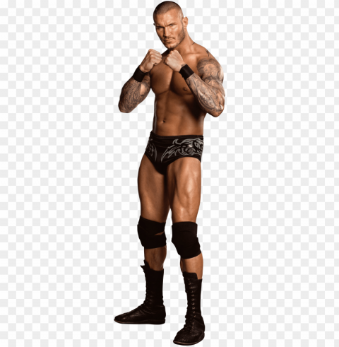 randy orton image - randy orton full body PNG with no background required